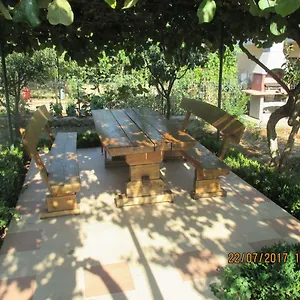https://apartments-sandra-novigrad-istria.in-istria.net
